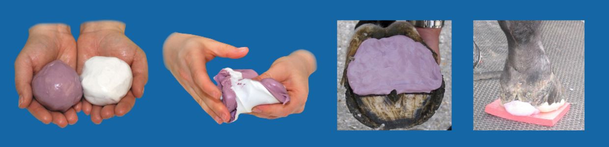 horse hoof silicone putty (3)